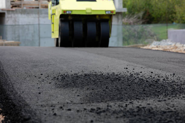 Best Local Driveway Pavers  in Laredo, TX