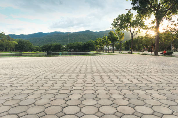 Best Driveway Pavers Near Me  in Laredo, TX