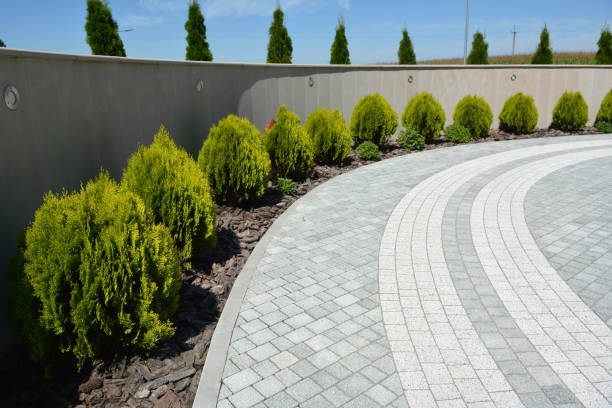 Best Interlocking Driveway Pavers  in Laredo, TX