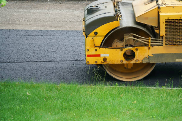 Best Professional Driveway Pavers  in Laredo, TX